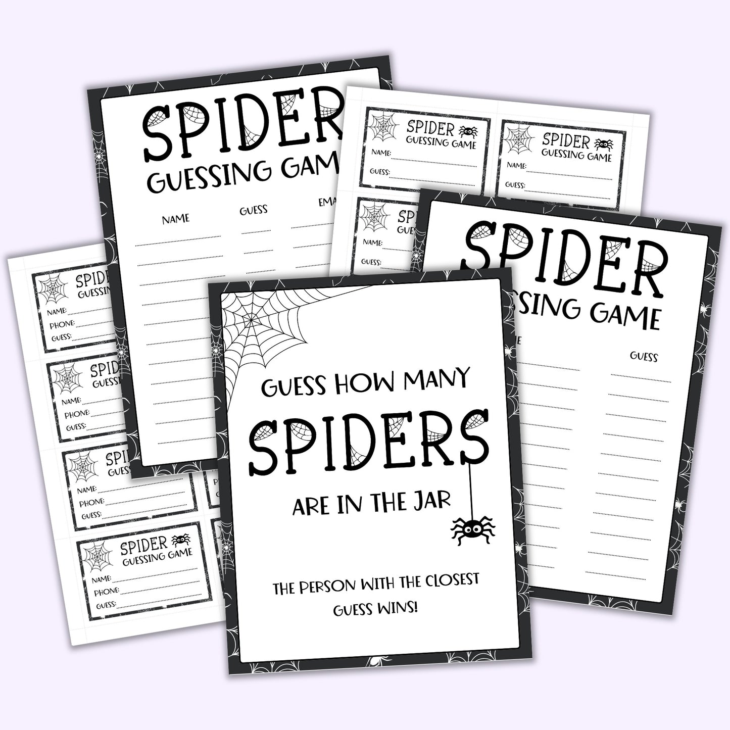 Spider Guessing Game